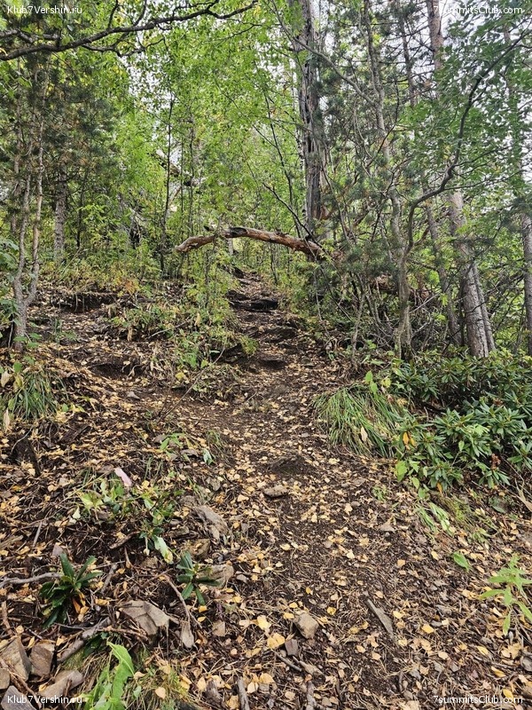 ������� 2023. ��������, ���� 40