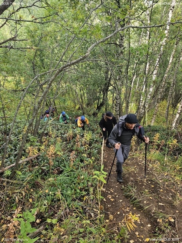 ������� 2023. ��������, ���� 41