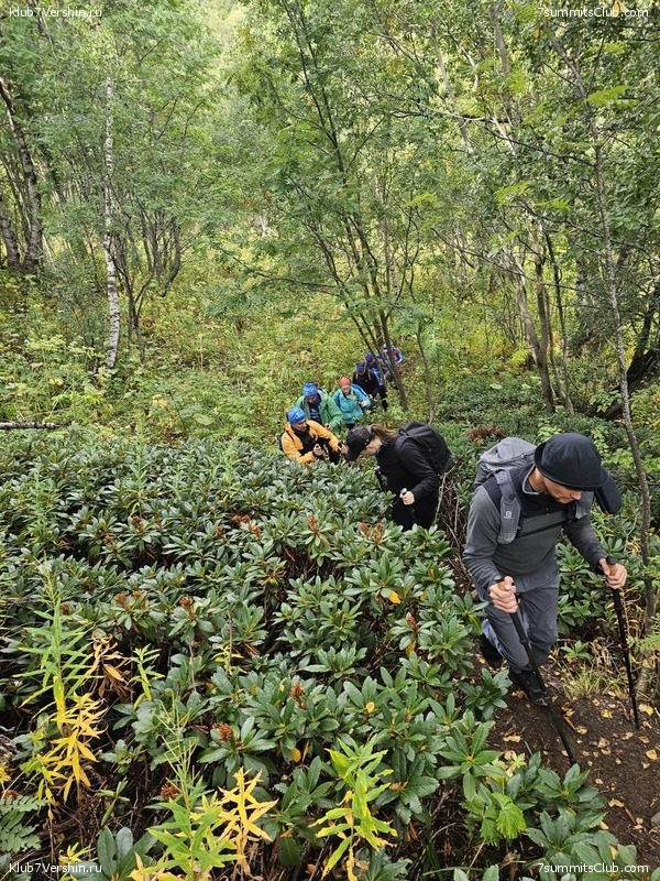 ������� 2023. ��������, ���� 42