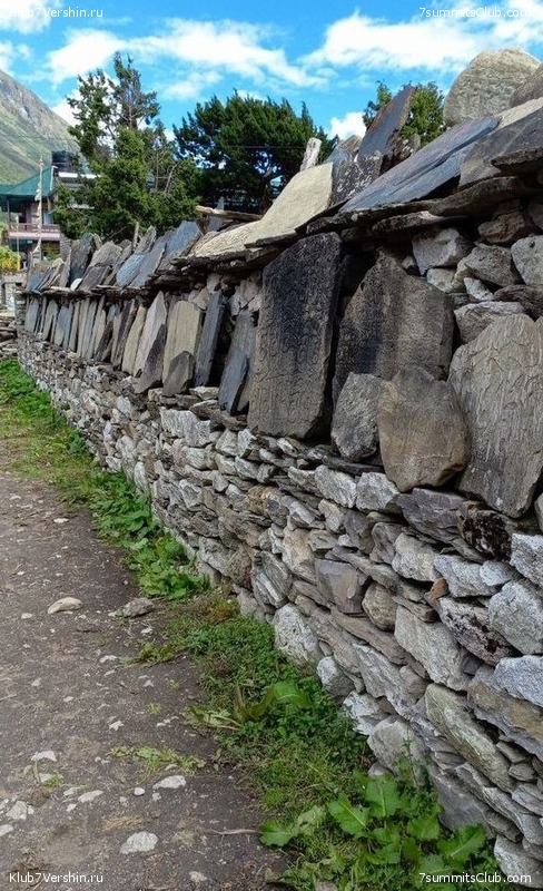 ������� 2023. ������ �������, ���� 213