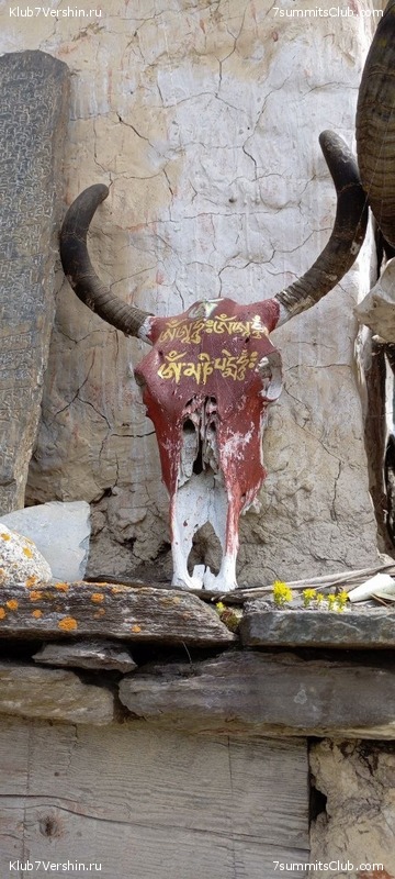 ������� 2023. ������ �������, ���� 243