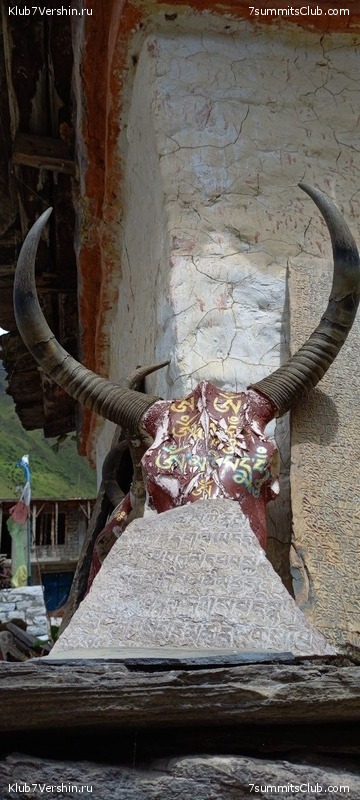 ������� 2023. ������ �������, ���� 244