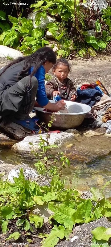 ������� 2023. ������ �������, ���� 246