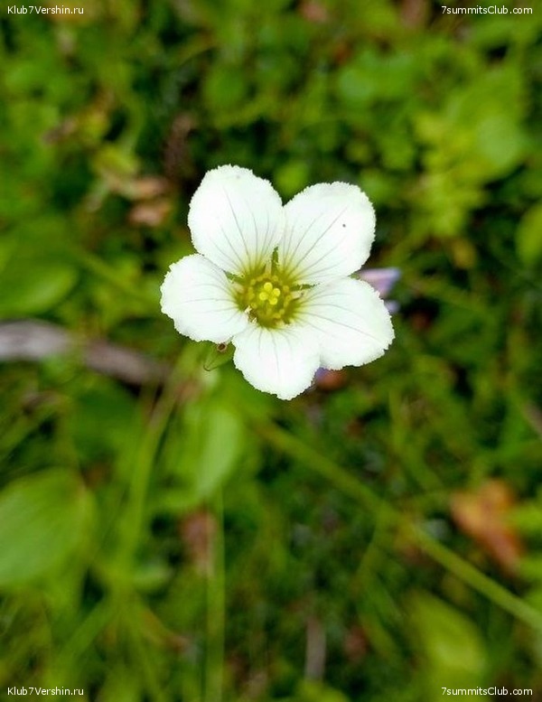 ������� 2023. ������ �������, ���� 76