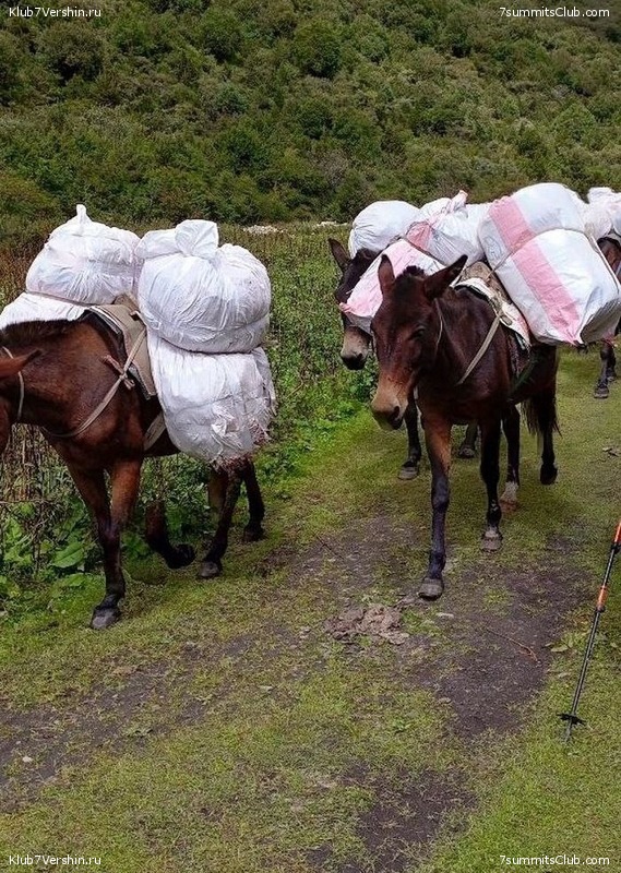 ������� 2023. ������ �������, ���� 108