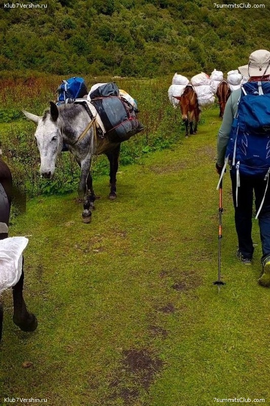 ������� 2023. ������ �������, ���� 149