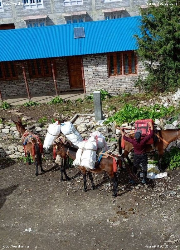 ������� 2023. ������ �������, ���� 100