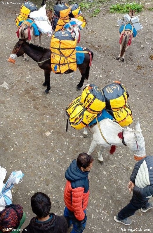 ������� 2023. ������ �������, ���� 162