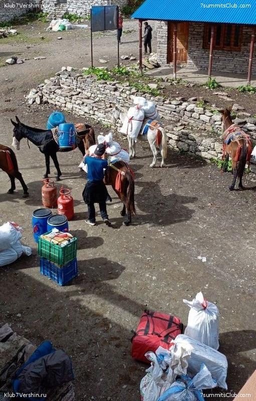 ������� 2023. ������ �������, ���� 180