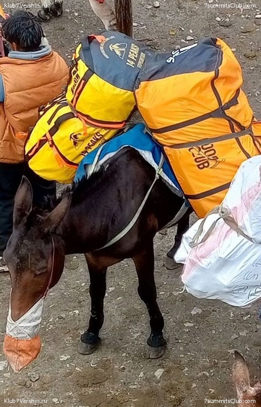 ������� 2023. ������ �������, ���� 177