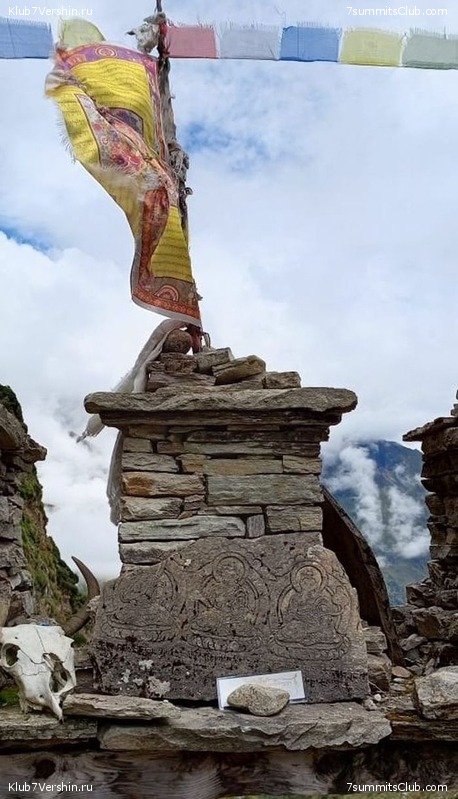 ������� 2023. ������ �������, ���� 233