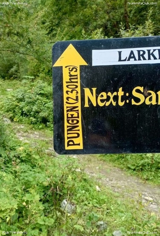 ������� 2023. ������ �������, ���� 137