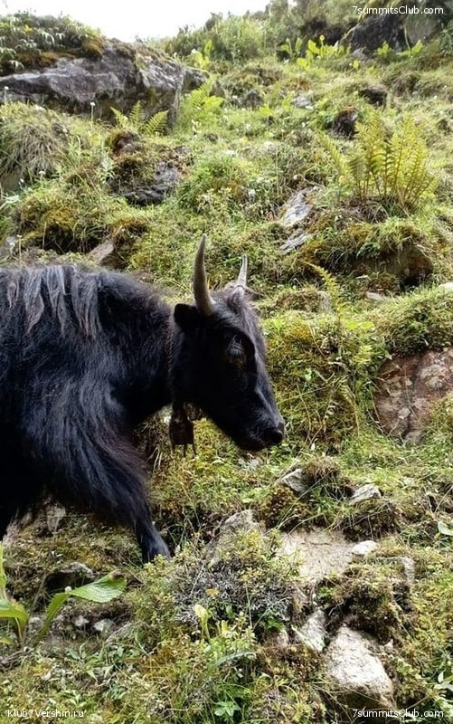 ������� 2023. ������ �������, ���� 198