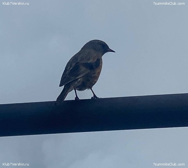 ������� 2023. ������ �������, ���� 54