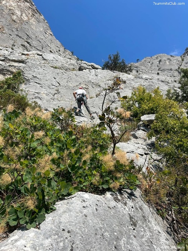 �������� ���� � ����� 2023 ���, ���� 58