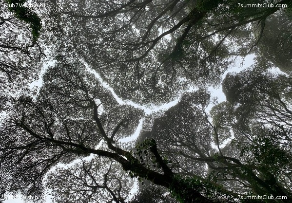 ������������ 2023.  ������ - ��������. ����� ���������, ���� 107