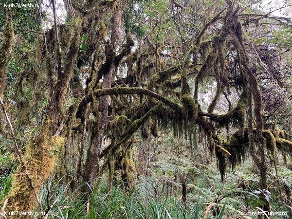 ������������ 2023.  ������ - ��������. ����� ���������, ���� 194