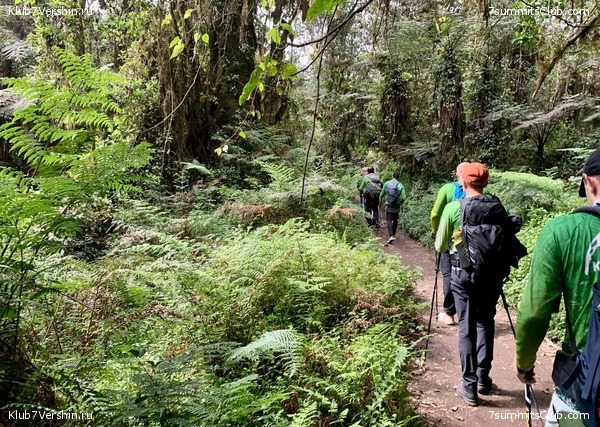 ������������ 2023.  ������ - ��������. ����� ���������, ���� 126