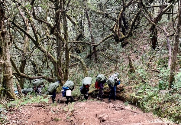 ������������ 2023.  ������ - ��������. ����� ���������, ���� 97