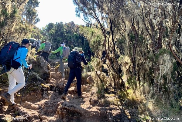 ������������ 2023.  ������ - ��������. ����� ���������, ���� 72