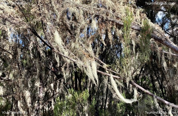 ������������ 2023.  ������ - ��������. ����� ���������, ���� 49