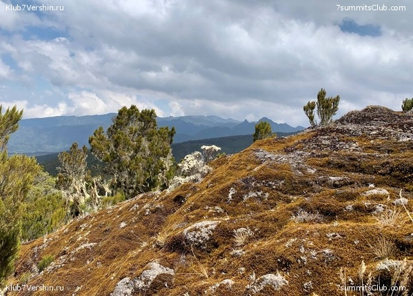 ������������ 2023.  ������ - ��������. ����� ���������, ���� 134