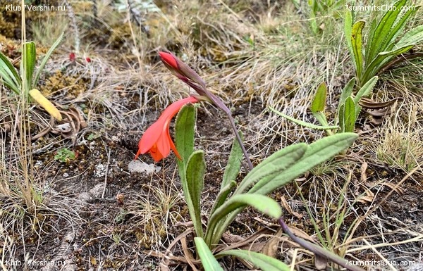 ������������ 2023.  ������ - ��������. ����� ���������, ���� 34