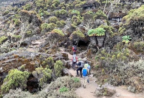 ������������ 2023.  ������ - ��������. ����� ���������, ���� 80