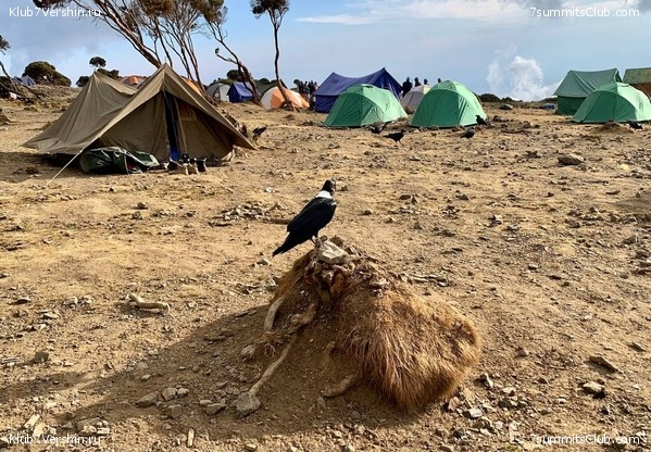 ������������ 2023.  ������ - ��������. ����� ���������, ���� 104