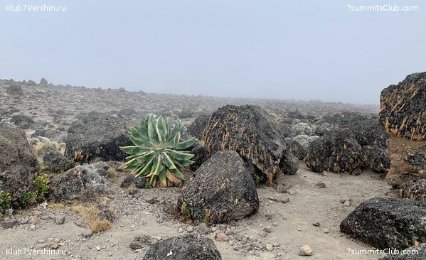 ������������ 2023.  ������ - ��������. ����� ���������, ���� 18