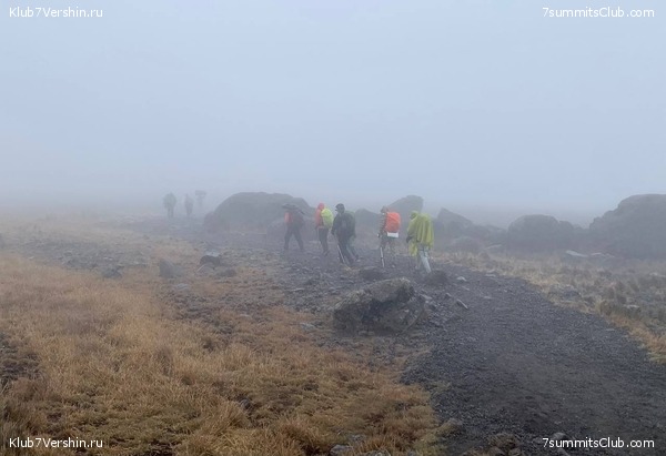 ������������ 2023.  ������ - ��������. ����� ���������, ���� 100