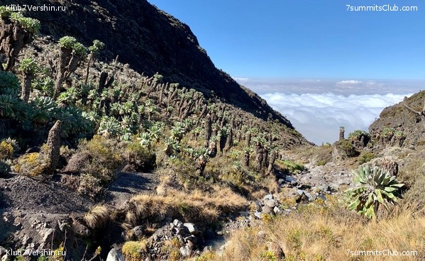 ������������ 2023.  ������ - ��������. ����� ���������, ���� 19