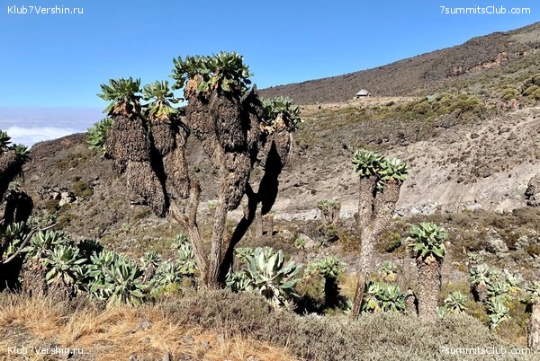 ������������ 2023.  ������ - ��������. ����� ���������, ���� 74