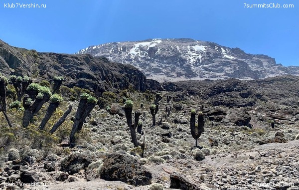 ������������ 2023.  ������ - ��������. ����� ���������, ���� 32