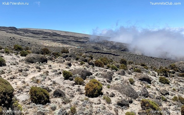 ������������ 2023.  ������ - ��������. ����� ���������, ���� 26