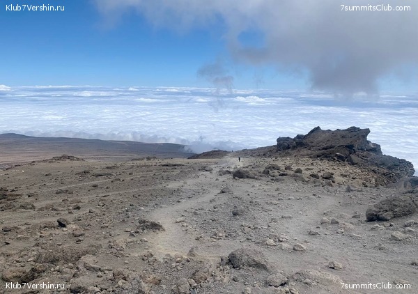 ������������ 2023.  ������ - ��������. ����� ���������, ���� 119