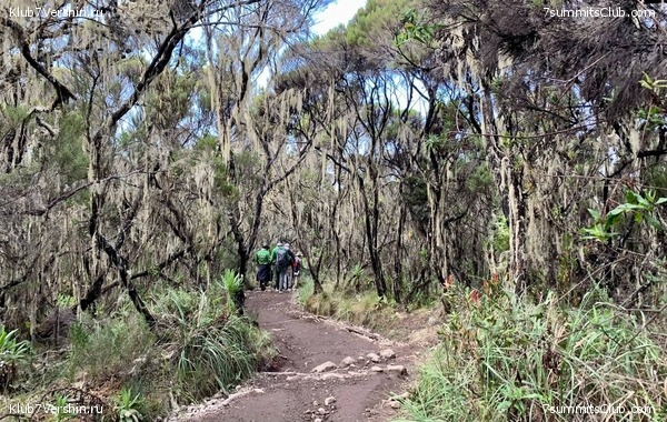 ������������ 2023.  ������ - ��������. ����� ���������, ���� 28