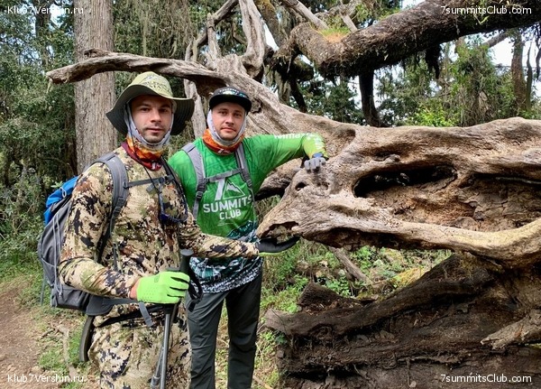 ������������ 2023.  ������ - ��������. ����� ���������, ���� 137