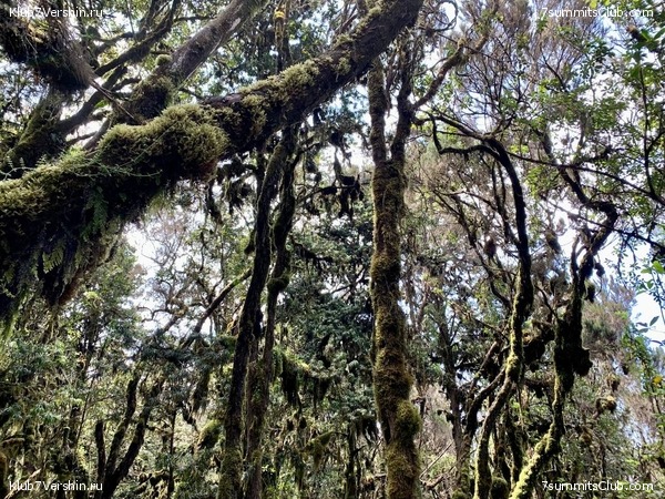 ������������ 2023.  ������ - ��������. ����� ���������, ���� 210