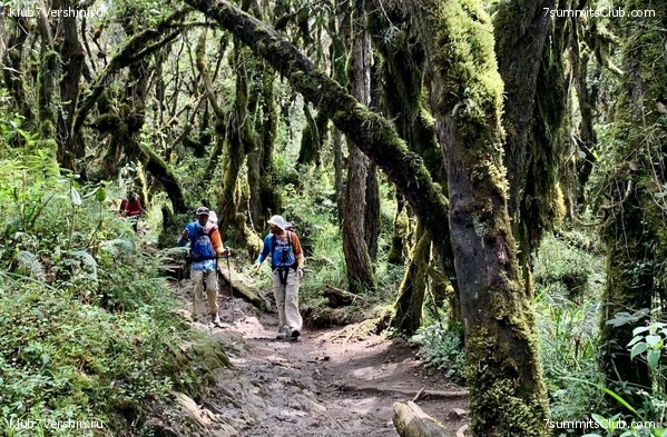 ������������ 2023.  ������ - ��������. ����� ���������, ���� 53