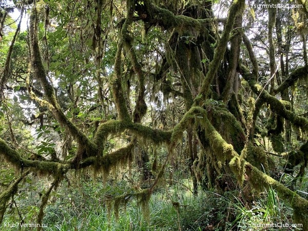 ������������ 2023.  ������ - ��������. ����� ���������, ���� 211