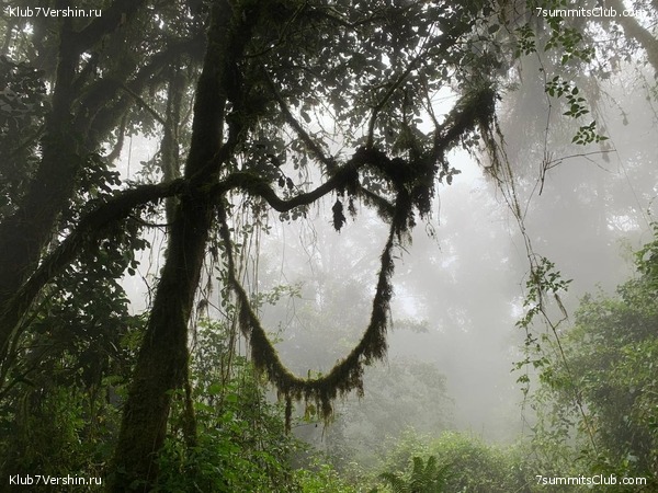 ������������ 2023.  ������ - ��������. ����� ���������, ���� 212