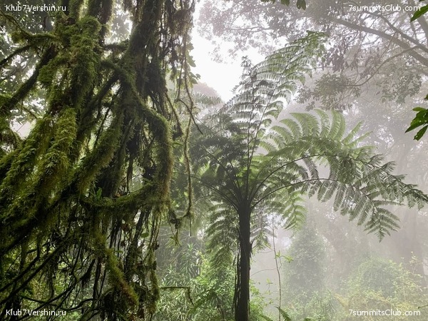 ������������ 2023.  ������ - ��������. ����� ���������, ���� 213