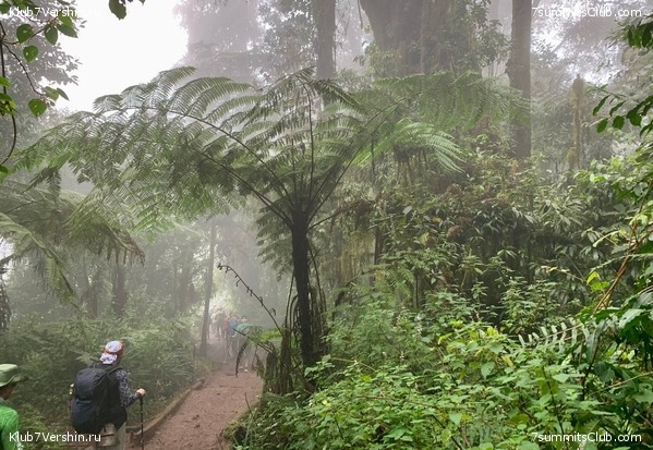 ������������ 2023.  ������ - ��������. ����� ���������, ���� 101