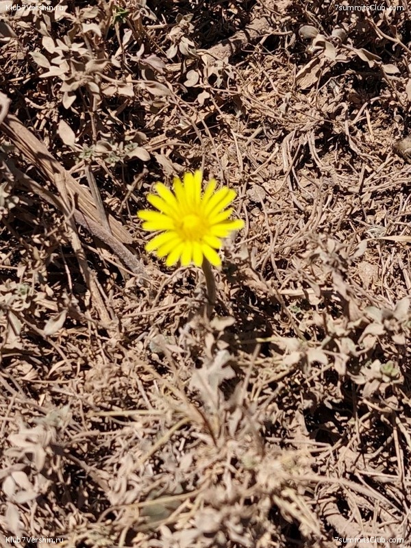 �������� 2023. ��������, ���� 123