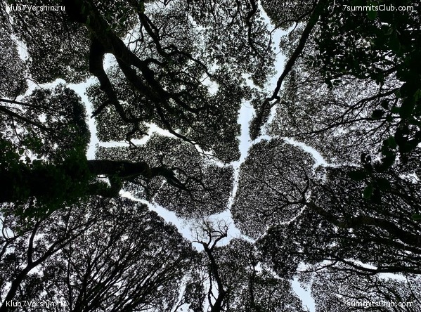 ������������ 2023.  ������ - ��������. ����� ���������, ���� 153