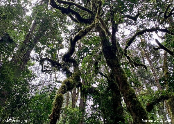 ������������ 2023.  ������ - ��������. ����� ���������, ���� 131