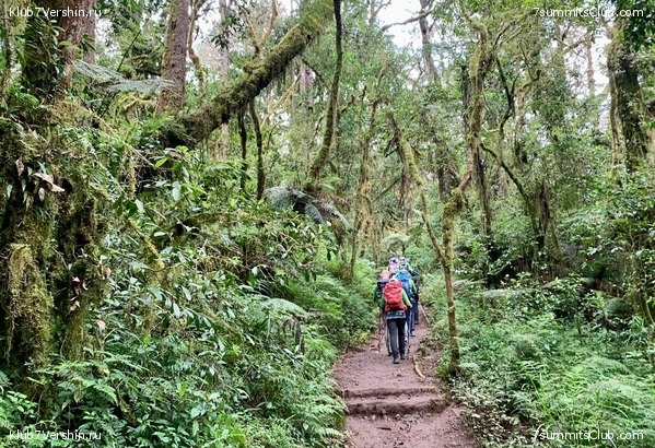 ������������ 2023.  ������ - ��������. ����� ���������, ���� 93