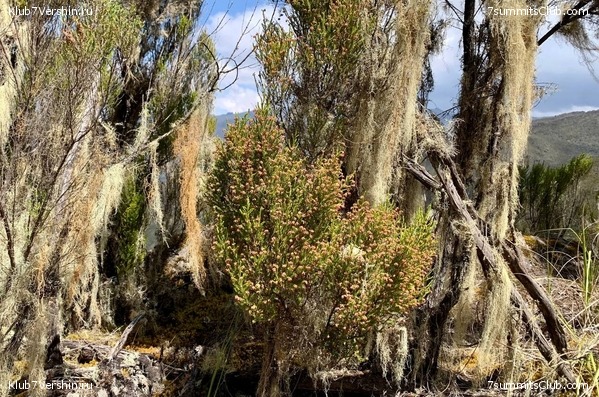 ������������ 2023.  ������ - ��������. ����� ���������, ���� 57