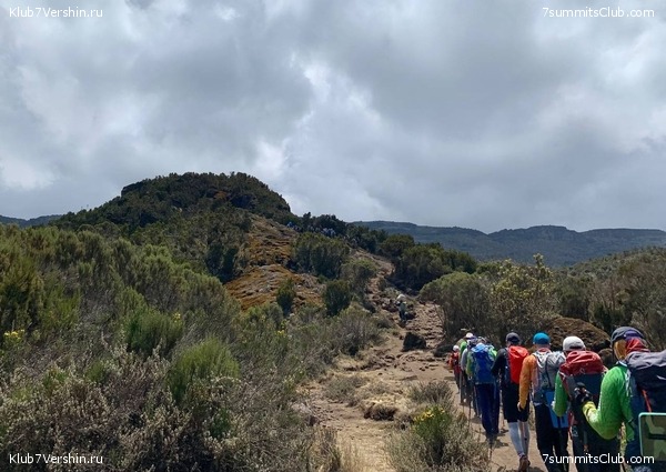 ������������ 2023.  ������ - ��������. ����� ���������, ���� 123